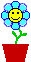 {#icono3.gif}