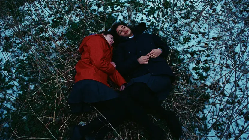They Found Her in a Field