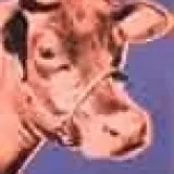 xiuxiueig