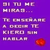 No disponemos de imagen