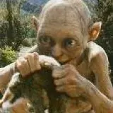 leidy