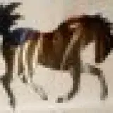 lacanaria