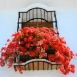 creta