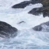 kurich