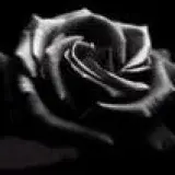 negra_flor25