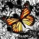 vlinder