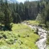 eterea