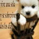 caro_26