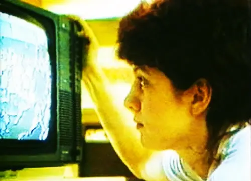 Framed Youth: The Revenge of the Teenage Perverts