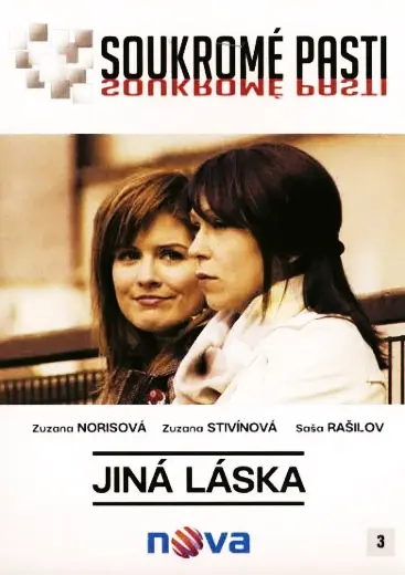 Soukromé pasti