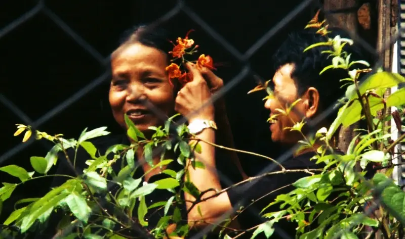 Bopha Pitorng Chhomnas Tekpleang