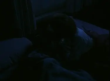 Picket Fences