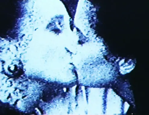 Alien Kisses