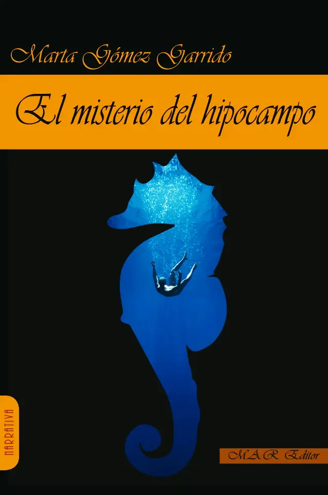 No disponemos de imagen