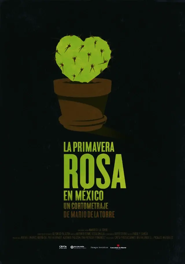 No disponemos de imagen