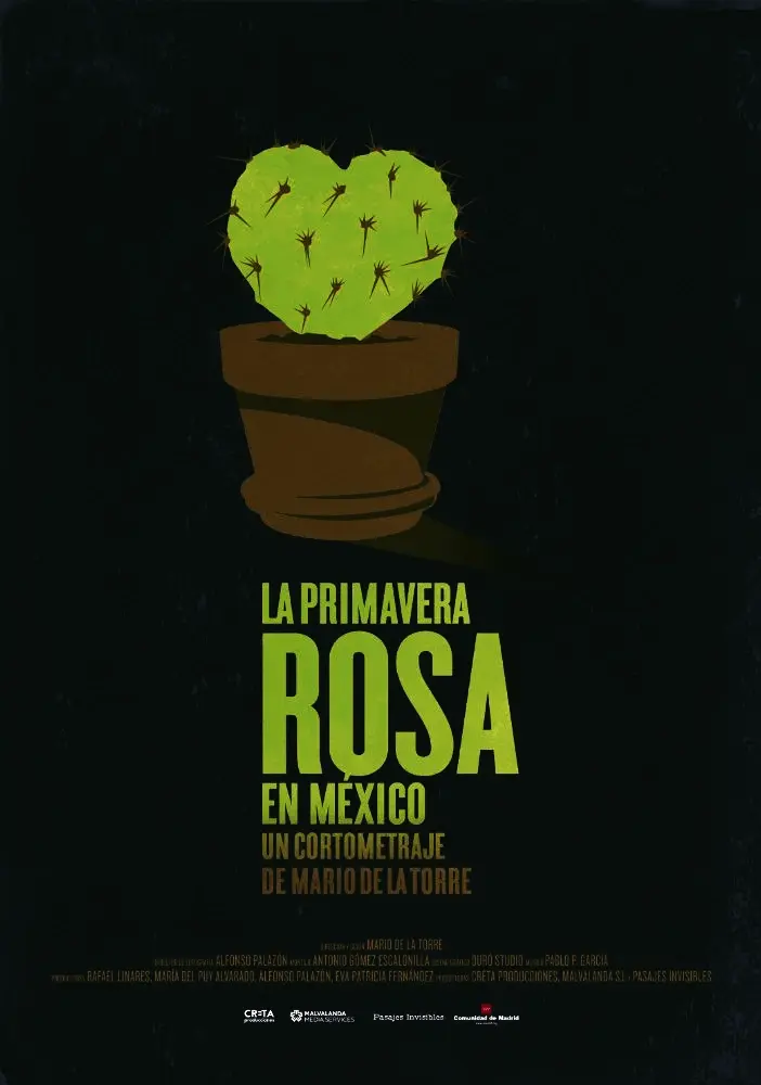 No disponemos de imagen