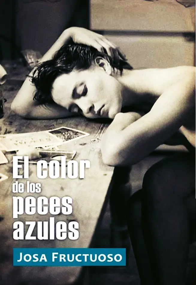 No disponemos de imagen