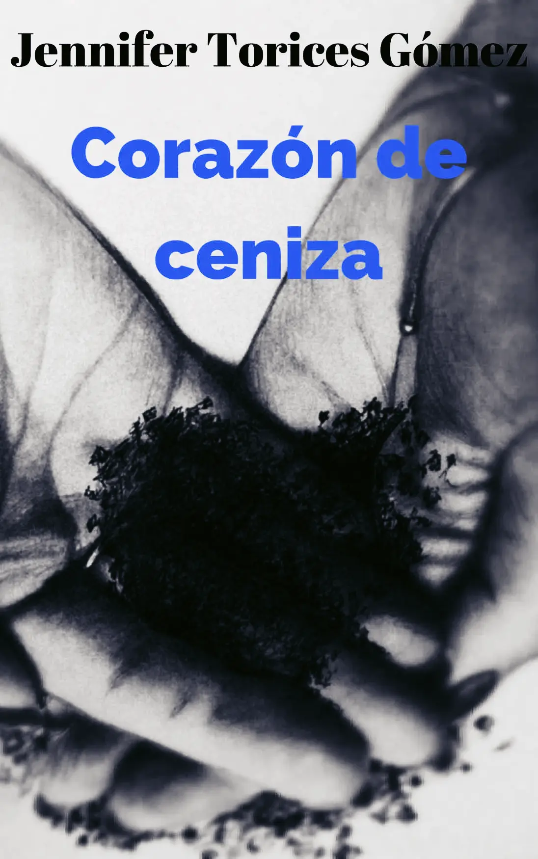No disponemos de imagen
