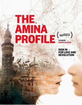 The Amina Profile