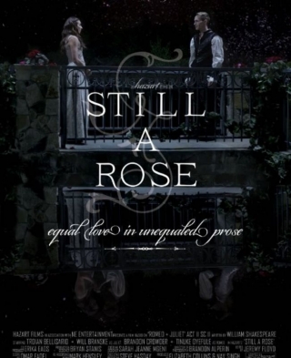 Still a Rose