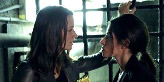 Root y Shaw