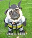 lunadevalencia