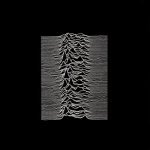 joy_division