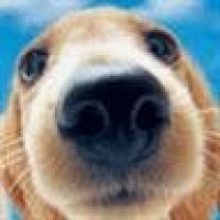 airam_80